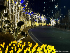 <b>正在全球100多个国度和地域举办“欢喜春节”暨</b>