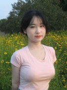 终究税务部分次要担任社会安全费和相关非税收